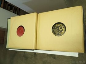 Staré LP desky,12 ks,zabalené v deskách - 1