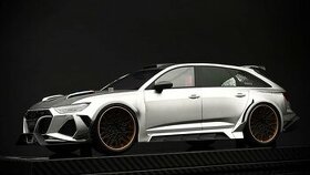 Audi RS666 | VIP 1/18