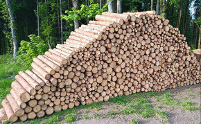 Palivové dřevo v metrech měkké / tvrdé 100cm polena metrovky