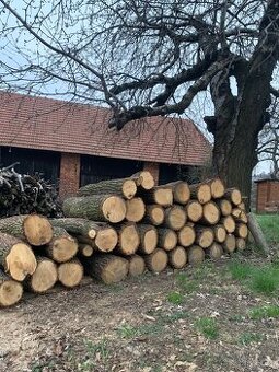 Palivové dřevo