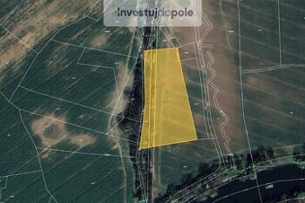 Prodej pole v k.ú. Živanice - 1