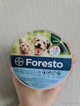 Obojek Foresto - 1