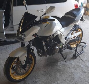 Kawasaki 750 ZR , 2005 rok