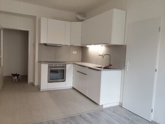 Pronájem bytu 1+1, 46m2 , PRAHA 4 Nusle