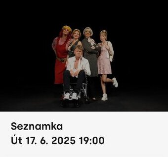 Nabízím 2 vstupenky na divadelní představení Seznamka 17.6.