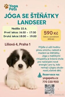 22.6.Jóga se štěňátky,puppy yoga,pets yoga,zážitek,vstupenky