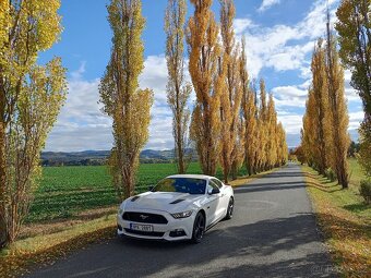 FORD MUSTANG MK6 - 5.0 L - GT V8 - 313 KW - STK 07/2027