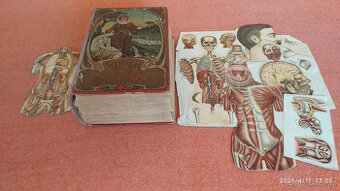 Bilzovo léčení přirozené - rok 1901