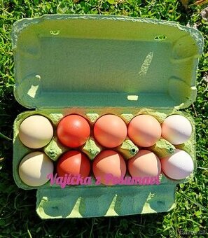 DOMÁCÍ VAJÍČKA / VEJCE 🐓🐓🐓