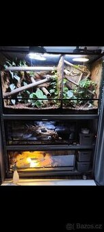 Terária s obyvateli