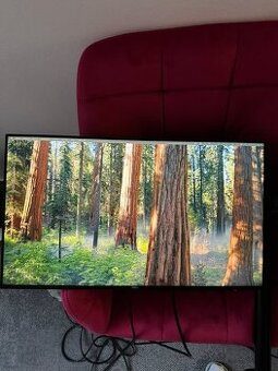 Dell UltraSharp U2414Hb + kloubové rameno - 1