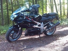 Suzuki TL1000S