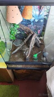 Terárium pro chameleona