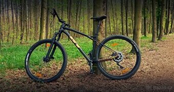 GT Avalnche Elite