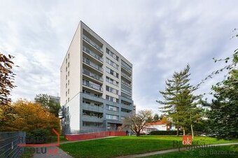 Pronájem, byty/1+1, 32.5 m2, Habrová, Žižkov, 13000 Praha 3 