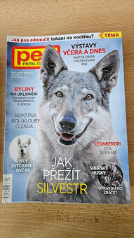 Člověk a pes 2022 a 2023