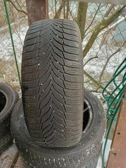 225 55 17 zimní 97h