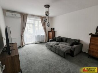 Brno - Staré Brno, pronájem bytu 1+1 45 m², zařízený - byt