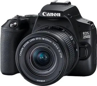 Canon EOS 250D + Canon EFS 18-55MM