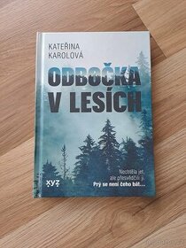 K. Karolová: Odbočka v lesích - 1