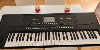 Prodám klávesy KORG-PA 300