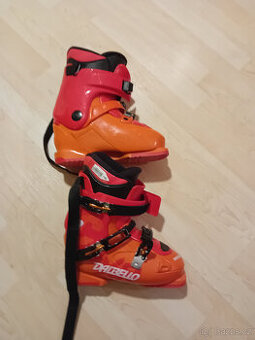 Lyžařské boty Dalbello
