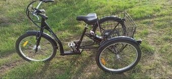 Easybike Auriga