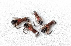 tungsten nymfa