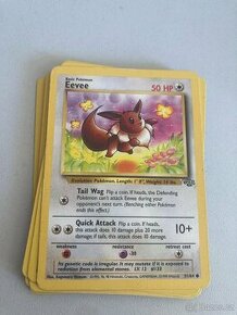 POKEMON JUNGLE balíček - 1