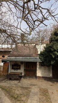 Pronajmu vinný sklep ve městě Bzenec
