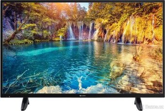 Televize GoGEN TVF 55P269T