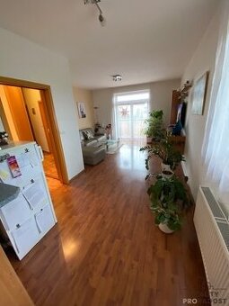 Pronájem bytu 3+kk Olomouc Mošnerova 112 m2