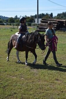 HORSE PONY