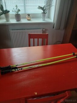 Sjezdařské hůlky ARCORE 100 cm