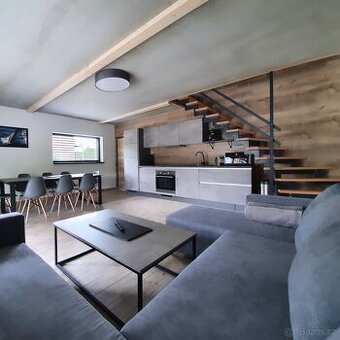 Uklízečka- Lipno - 1