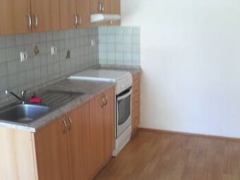 Majitel pronajme 2+KK s velkou terasou