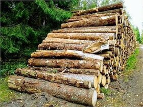 Palivové dřevo,AKCE - 1