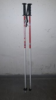 Lyžařské hůlky Blizzard 105cm