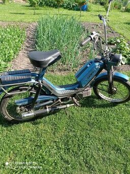 Babeta 210