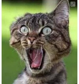 Bydlení zdarma pro mladého muže v tísnivé životní situaci