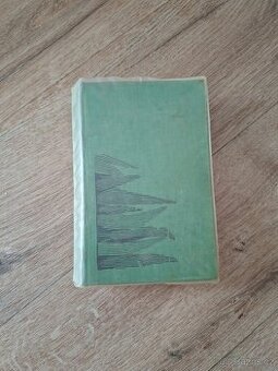 Jozo Niznansky: Cachticka pani