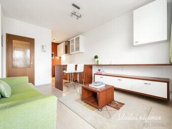 Pronájem bytu 2kk, U Měšťanského Pivovaru, Holešovice, 22500