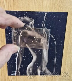 americka kamna slida do dvirek a mrizka