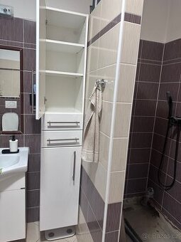 Závěsná koupelnová skříňka