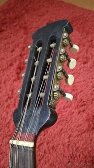 Mandolina nalezový stav