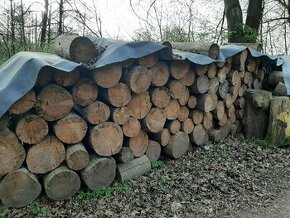 Dřevo palivové borovice,smrk.