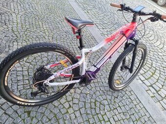 Elektrokolo Crussos E-Fiona 17"
