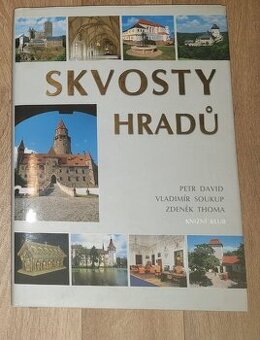 Kniha Skvosty hradů