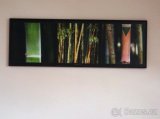 Laminovaný obraz BAMBUS