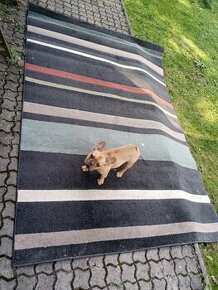 Koberec Radiance 2x3 m